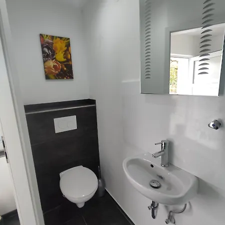 Appartement Modernes Einzimmer Hügelsheim